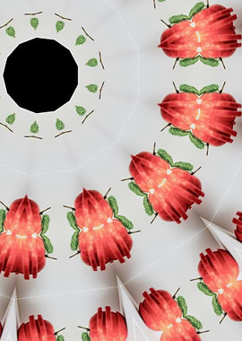 Red Apple Kaleidoscope