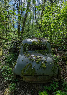 Rusty Car in Forest
