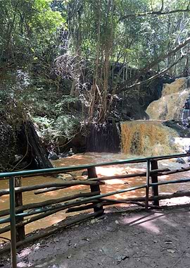 Waterfall in Lush Forest