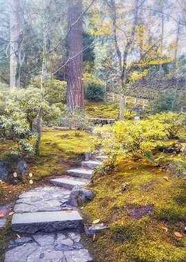 Stone Path in a Mossy Forest