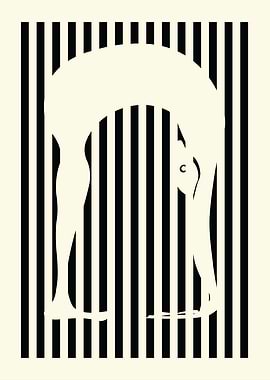 Silhouette in Stripes