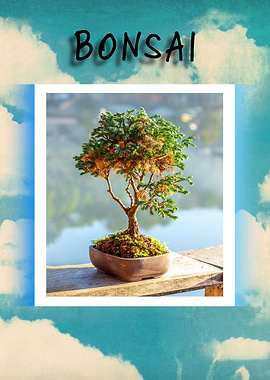Bonsai Tree in Pot