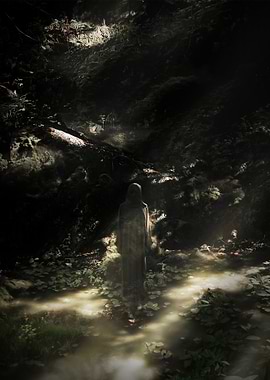 Shrouded Mystery in the Forest