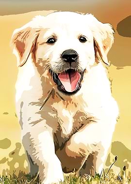 Golden Retriever Puppy