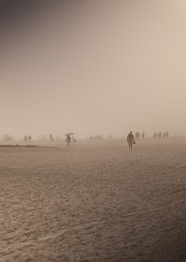 Beach Fog