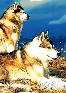 Two Huskies in the Snow