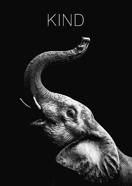 Kind Elephant Portrait