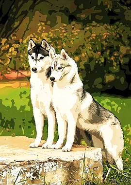 Two Huskies in a Forest