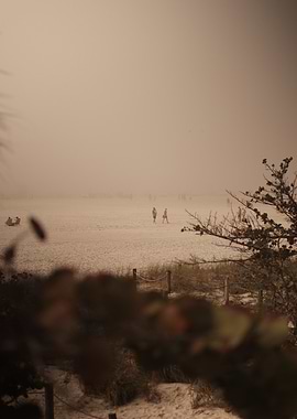Beach Fog
