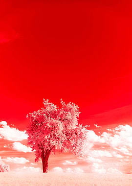 Infrared Tree Landscape