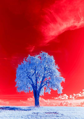 Gaming Tree Landscape