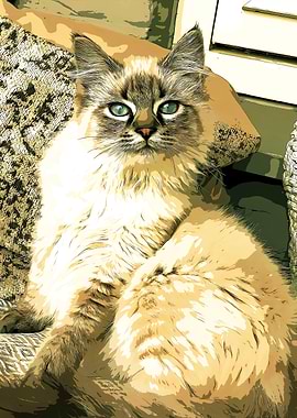 Cat Portrait in Sepia Tones