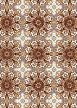 Brown and White Kaleidoscope Pattern
