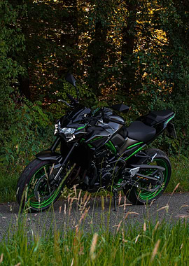 Kawasaki Z900 in Forest
