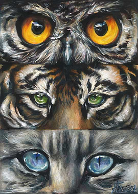 Animal Eyes
