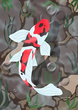 Koi Fish in a Pond
