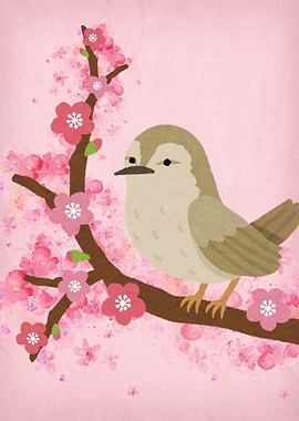 Cherry Blossom Nature