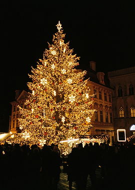 Christmas Tree at Night