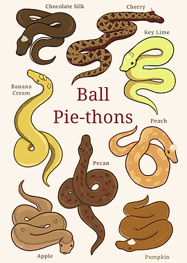 Ball Pie-Thons