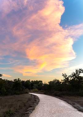 Sunset Path