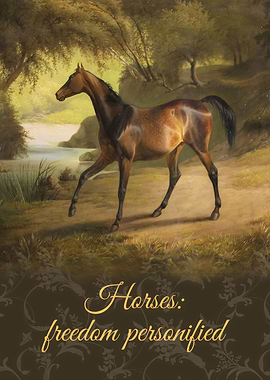 Horses: Freedom Personified