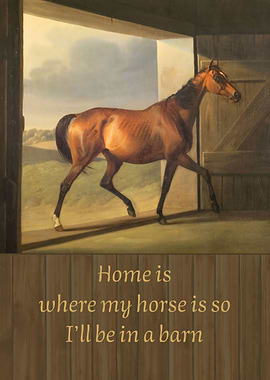 Home Is Where My Horse Is
