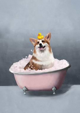 Corgi Bath Time