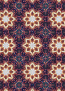 Abstract Starburst Pattern