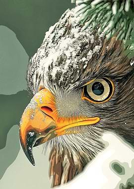 Eagle Close-Up