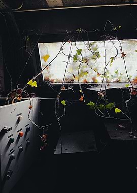 Overgrown Window in Abandoned Building during Urbex