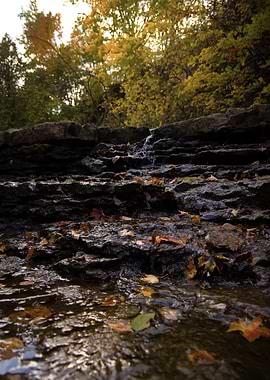 Springtime Creek Walk