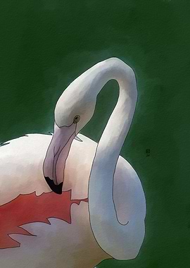 Pink Flamingo Portrait