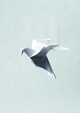 Origami Dove