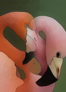 Pink Flamingo Close-Up