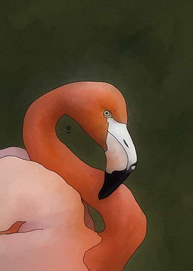 Pink Flamingo Portrait