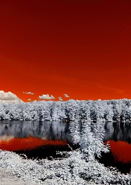 Blood Infrared Landscape