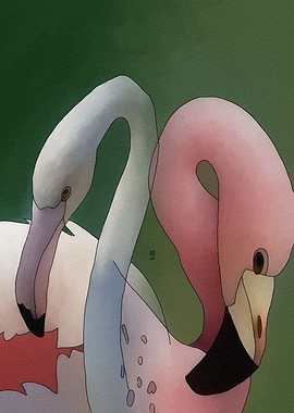 Pink and White Flamingos