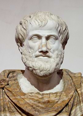 Marble Bust of a Man