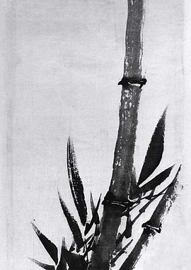 Black Ink Bamboo Painting