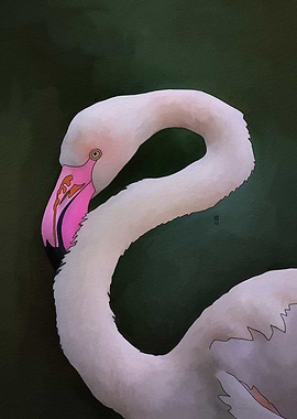 Pink Flamingo Illustration