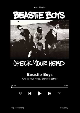 Beastie Boys Check Your Head Song Played