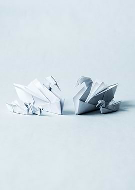 Origami Swan Family