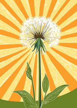 Dandelion Sunburst