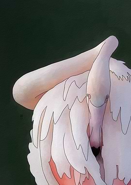 Pink Flamingo Illustration