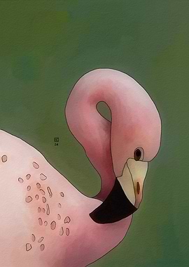 Andean Flamingo Portrait