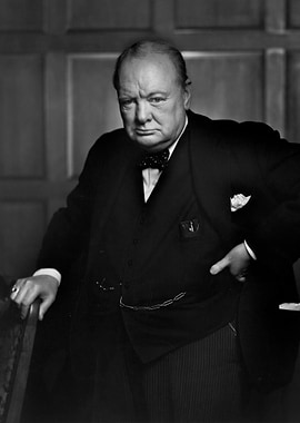 Winston Churchill Portrait