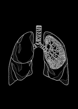 Lungs Anatomy Illustration
