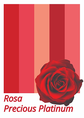 Red Rose Color Palette