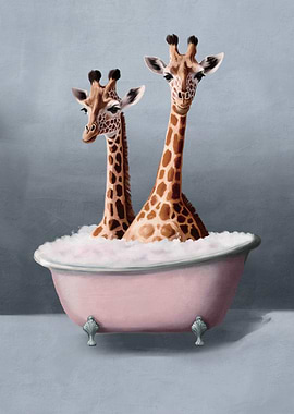 Giraffes in a Tub