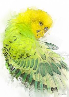 Green Budgie Watercolor